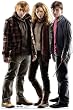 Harry, Hermoine & Ron Group (Harry Potter and the Deathly Hallows) Life-Size Standup Poster