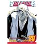 Bleach: v. 20 (Bleach)
