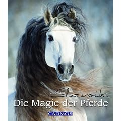 Die Magie der Pferde