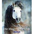 Die Magie der Pferde