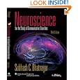 Neuroscience for the Study of Communicative Disorders (Point (Lippincott Williams & Wilkins))