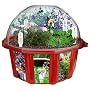 Fairy Triad Dome Terrarium