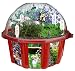 Fairy Triad Dome Terrarium
