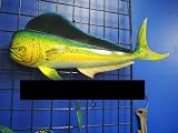 Mahi Mahi Hand Painted Wall Sculpture 28 Fish Mount Replica Dorado Art