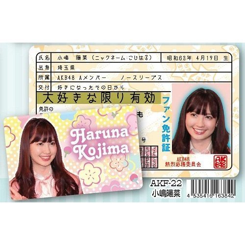 小嶋陽菜のアイテム画像