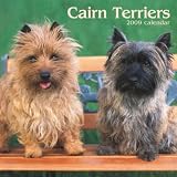 Cairn Terriers 2009 Calendar