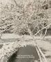 The Enconpassing Eye: Photography as Drawing: Aperture Issue, 125