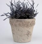�bertopf Keramik mit Rosenrand � 19 c...