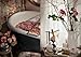 Recipes and Dreams from an Italian Life