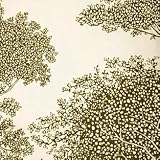 20958 - Fern