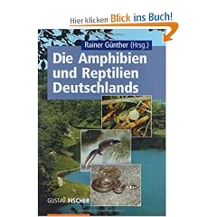 Die Amphibien und Reptilien Deutschlands