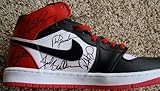 IMAGE OF Chicago Bulls 1995/1996 Team Autographed / Signed Michael Jordan Shoe - Autographed NBA Sneakers