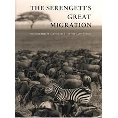 Serengeti's Great Migration