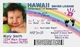 Personalized Baby Drivers License (set of 20) Birth Announcement-Hawaii