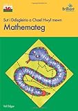 Sut i ddisgleirio a chael hwyl mewn : mathemateg