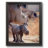 Mother Rhinoceros With New Born Baby White Rhino Animal Wildlife Picture Black Framed Art Print