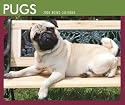 Pugs 2008 Boxed Calendar (German, French, Spanish and English Edition)