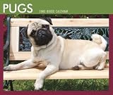 Pugs 2008 Boxed: Day to Day