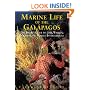 Marine Life of the Galapagos: Divers' Guide to the Fish, Whales, Dolphins and Marine Invertebrates, Second Edition (Odyssey Illustrated Guides)