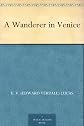 A wanderer in Venice
