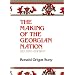 The Making of the Georgian Nation