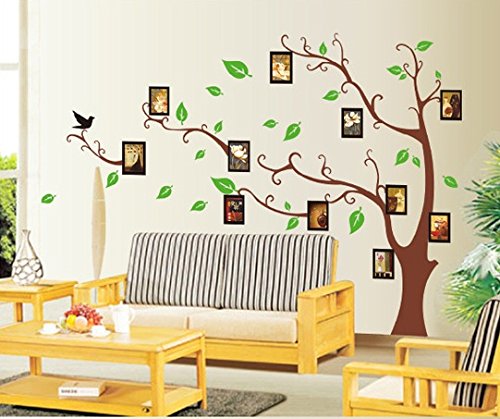 Sangu Tree Green Leaves