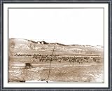 Civil War Photo (S): Washington D.C. vicinity. 17th New York Battery with horses harnessed to guns