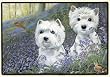 Westie Bluebells Fiddlers Elbow Doormat Rug