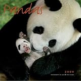 Kitchen & Housewares : Pandas 2009 Calendar