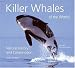 Killer Whales of the World: Natural History and Conservation by Robin W. Baird