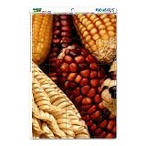 Graphics and More Indian Corn on Cob Maize Flint Fall Mag-Neato's Novelty Gift Locker Refrigerator Vinyl Puzzle Magnet Set