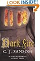 Dark Fire (Shardlake)
