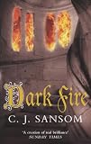 Dark Fire: A Novel