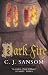 Dark Fire (Shardlake)