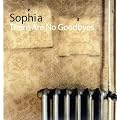 There Are No Goodbyes [VINYL]