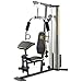 XR 55 Home Exercise Gold’s Gym, weight stack, padded seat, preacher pad, chart