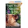 Train Your Dog Like a Pro