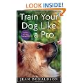 Train Your Dog Like a Pro