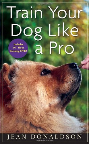 dog obedience training