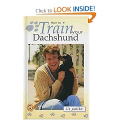 How to Train Your Dachshund (How To...(T.F.H. Publications))