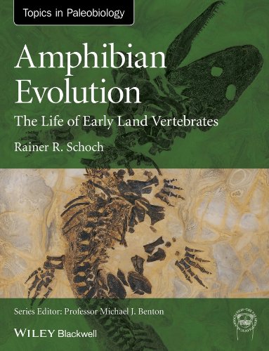 Amphibian Evolution: The Life of Early Land Vertebrates (TOPA Topics in Paleobiology)