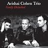 Image of album by Avishai Cohen