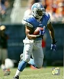 Jahvid Best Detroit Lions Action 8x10 Photo