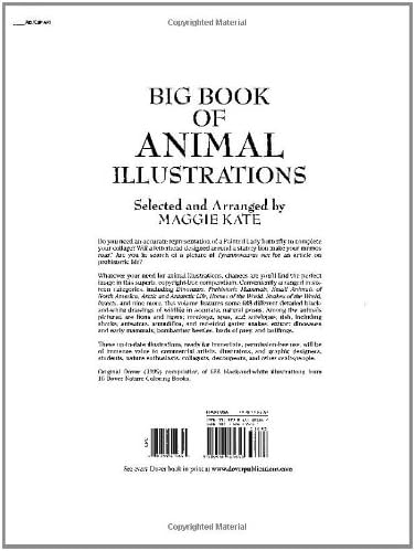 Big Book of Animal Illustrations (Dover Pictorial Archive)