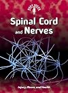 Spinal Cord and Nerves: Injury, Illness and Health (Body Focus)