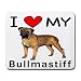 I Love My Bullmastiff
