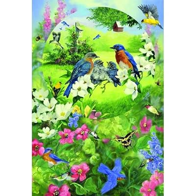 Garden Birds 625pc Family Jigsaw Puzzle by Linda Picken
