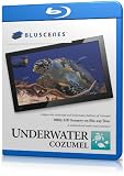 BluScenes: Underwater Cozumel 1080p HD Blu ray Disc 51jkDA53 tL. SL160 BluScenes: Underwater Cozumel 1080p HD Blu ray Disc