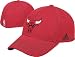 Chicago Bulls Basic Logo Structured Flex Fit Hat