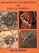 Amphibians and Reptiles of Baja California